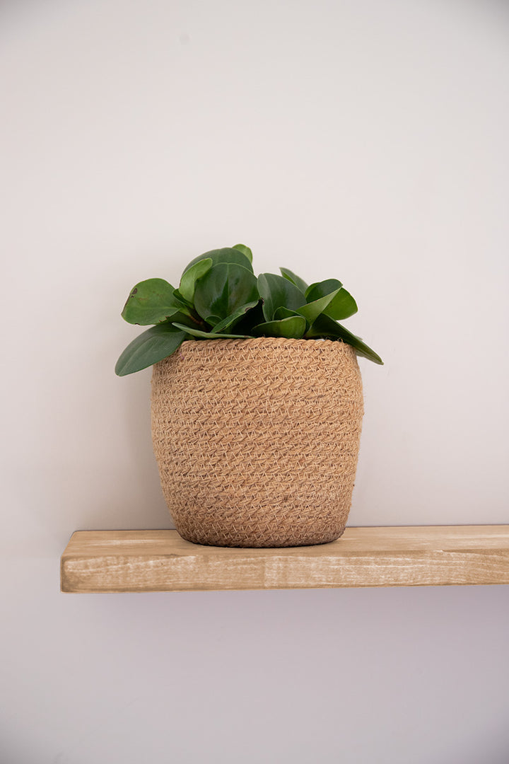 Lichtbruine wandplank die lijkt te zweven dankzij onzichtbare montage