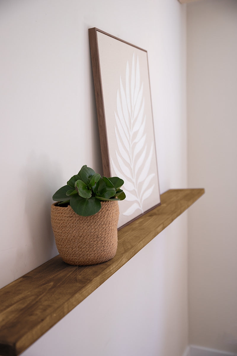 Zwevende wandplank van Baan Woods met een plantje en schilderij