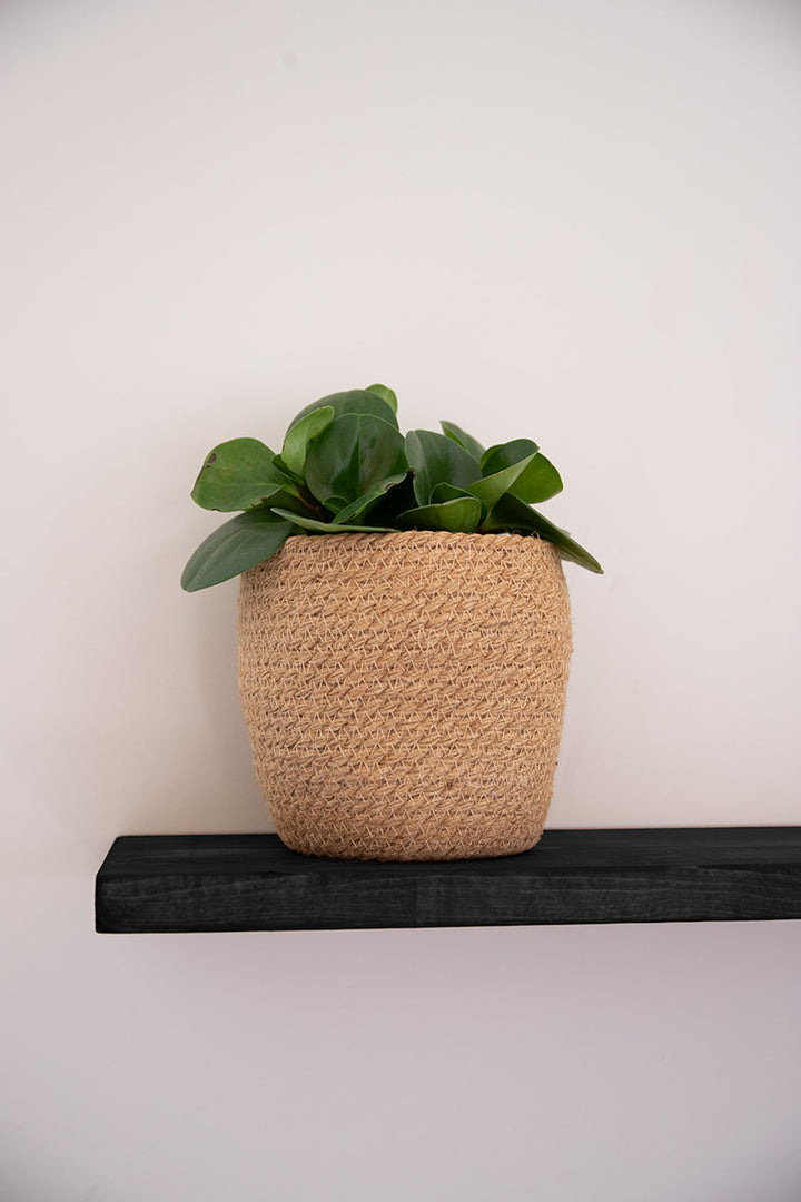 Zwarte wandplank van Baan Woods die lijkt te zweven dankzij onzichtbare montage